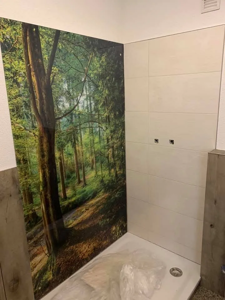 Referenzen Glasermeister Mielck - Glaswand an einer Dusche mit Motiv